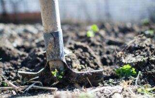 Dont ignore these aspects of the land panel report