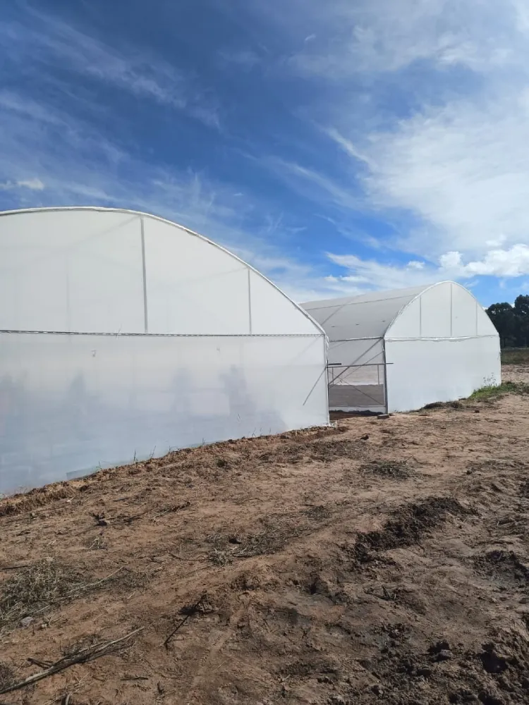 DGMT Green House Construction Exterior