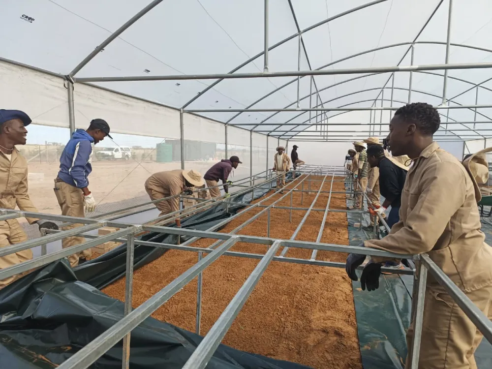 DGMT Green House Construction Interior