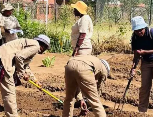 Social Employment Fund Newsletter – September 2026 Edition