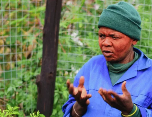 Makhosi Nkosi’s Agroecology Journey