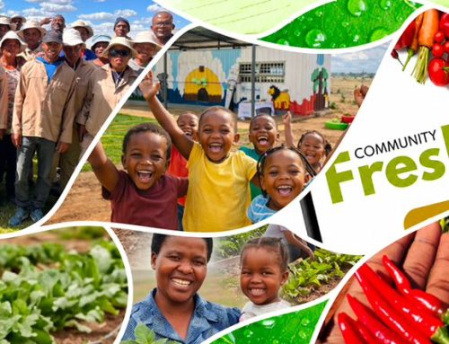 Seriti Institute’s Annual Report 2025/2026