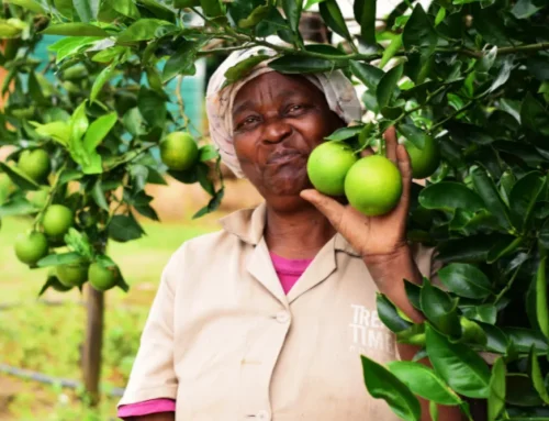 Nini Myeza’s Journey from Survival to Agroecology Champion